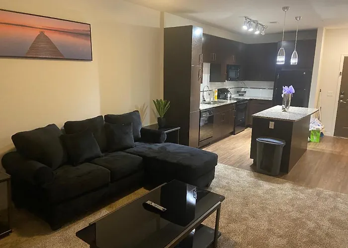 Beautiful Luxury Apartment