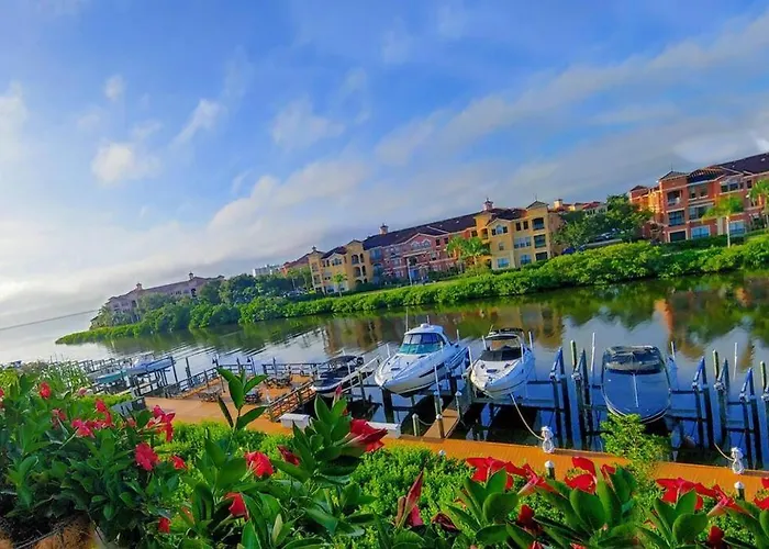 Posh Gv Resort Clearwater By Tampa Bay - Available March 2024