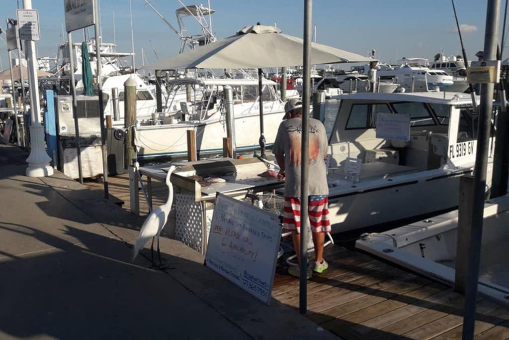 Coastal7 * Clearwater