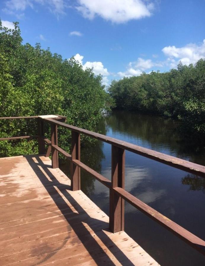 Private Quiet But Close To It Clearwater