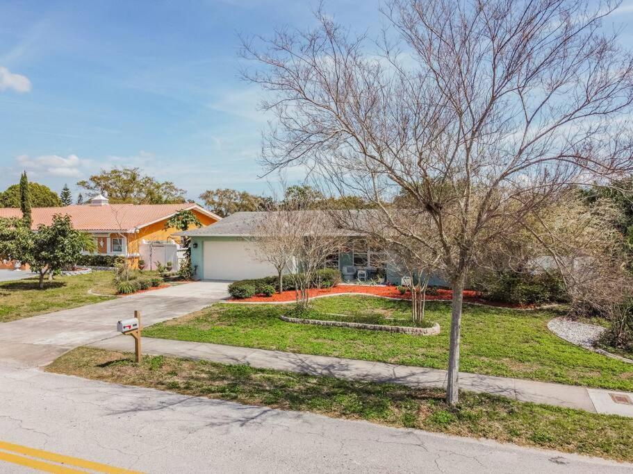 Casabetty Florida * Clearwater