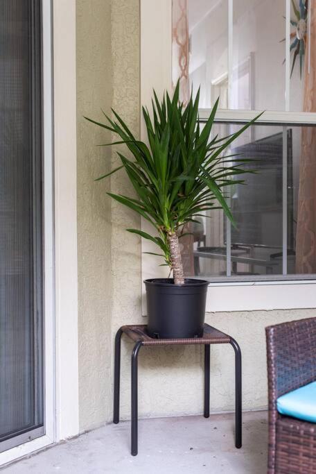Apartment O Stunning Minutes From Gorgeous Beaches O Clearwater