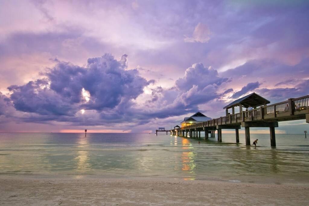 Apartment Charming 2-bedrooms With Private Backyard Clearwater