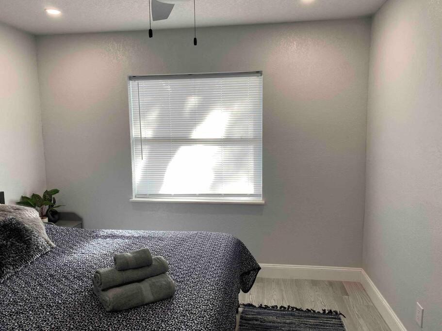 Charming 2-bedrooms With Private Backyard Apartment Clearwater