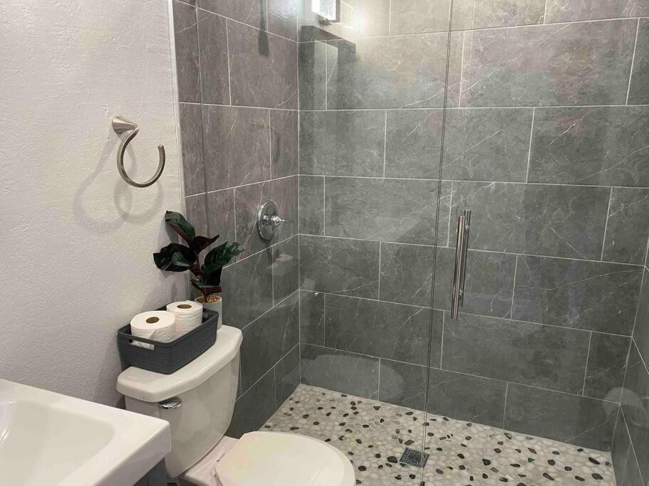 Charming 2-bedrooms With Private Backyard Apartment Clearwater