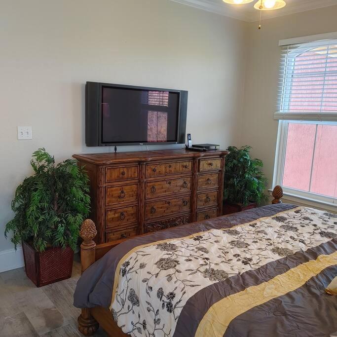 Posh Gv By Tampa Bay - Available March 2024 Clearwater