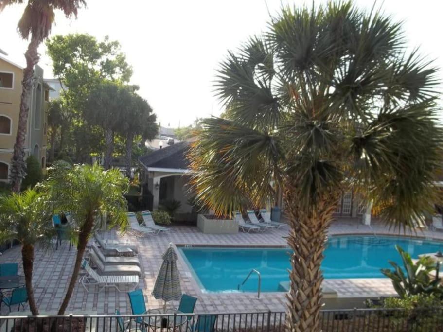 Apartment Avalon In Minutes From Clearwater