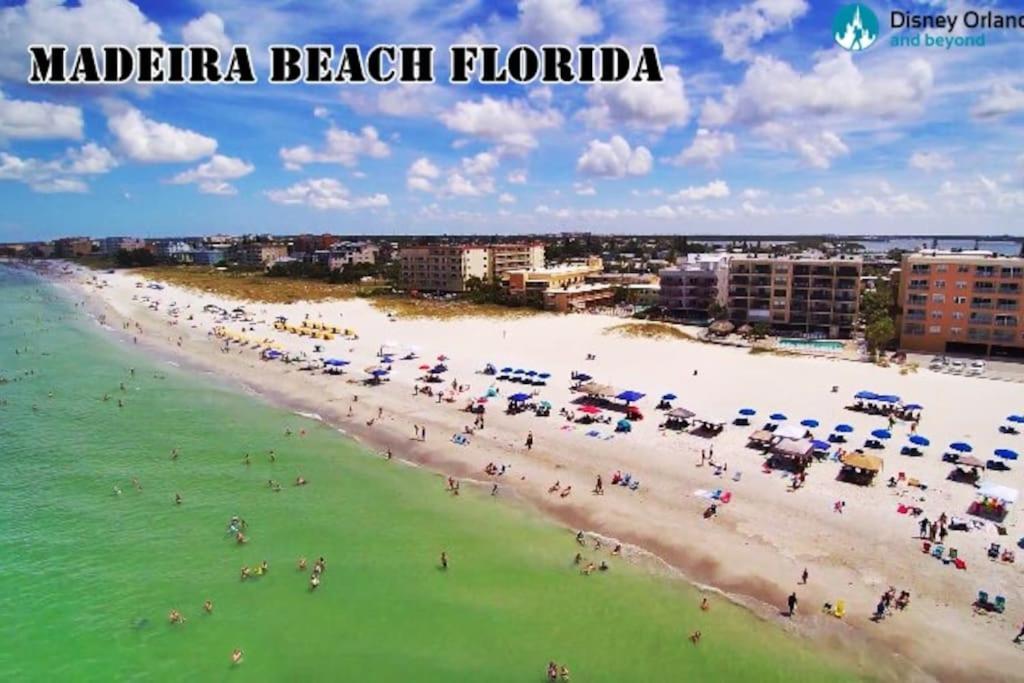 Apartment Avalon In Minutes From Clearwater