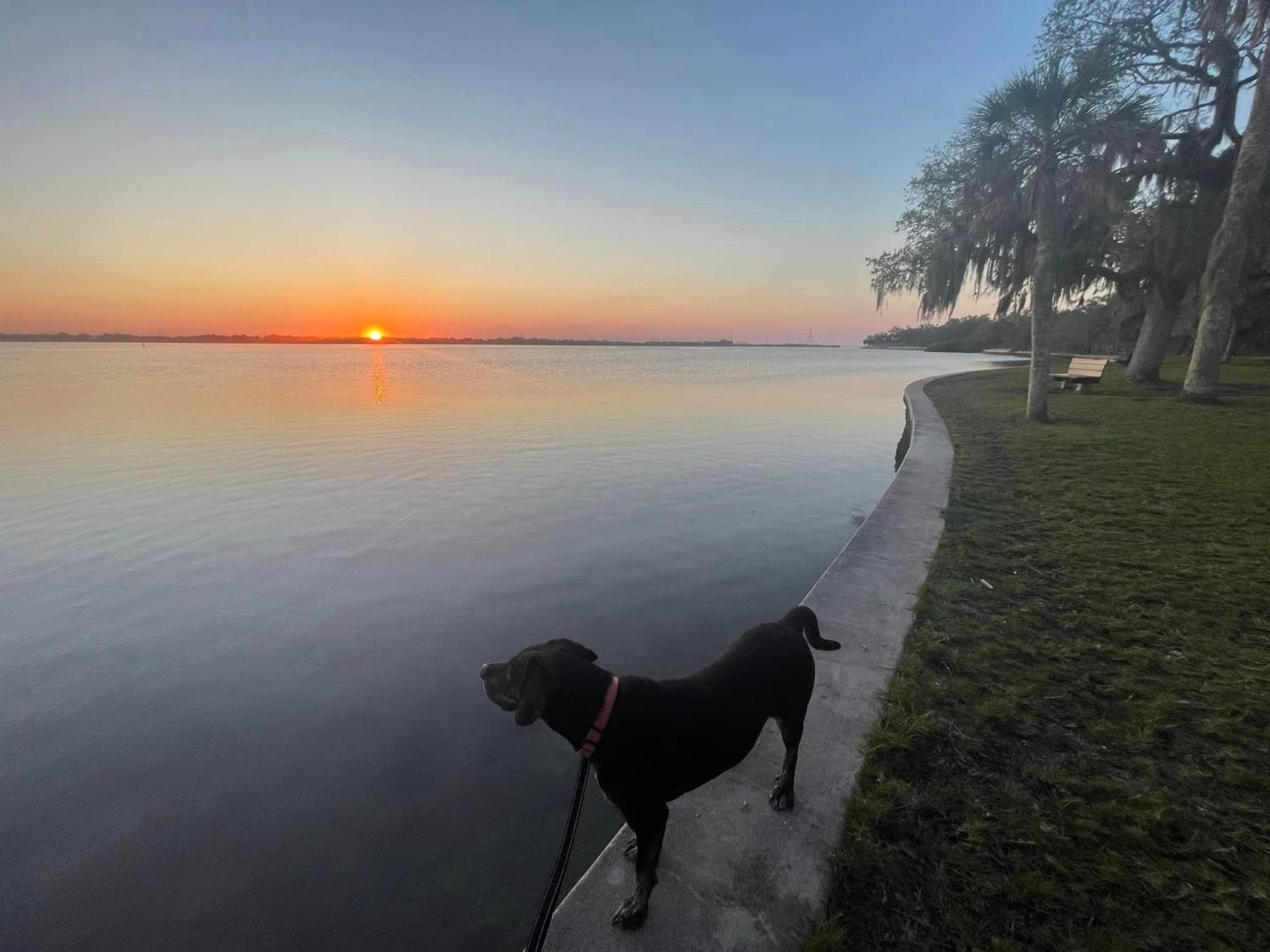 Holiday home Spacious Clearwater Vacation House Pet Friendly Fire Pit 14 Close To Beaches Baycare Ballpark And Ruth Eckerd Hall *