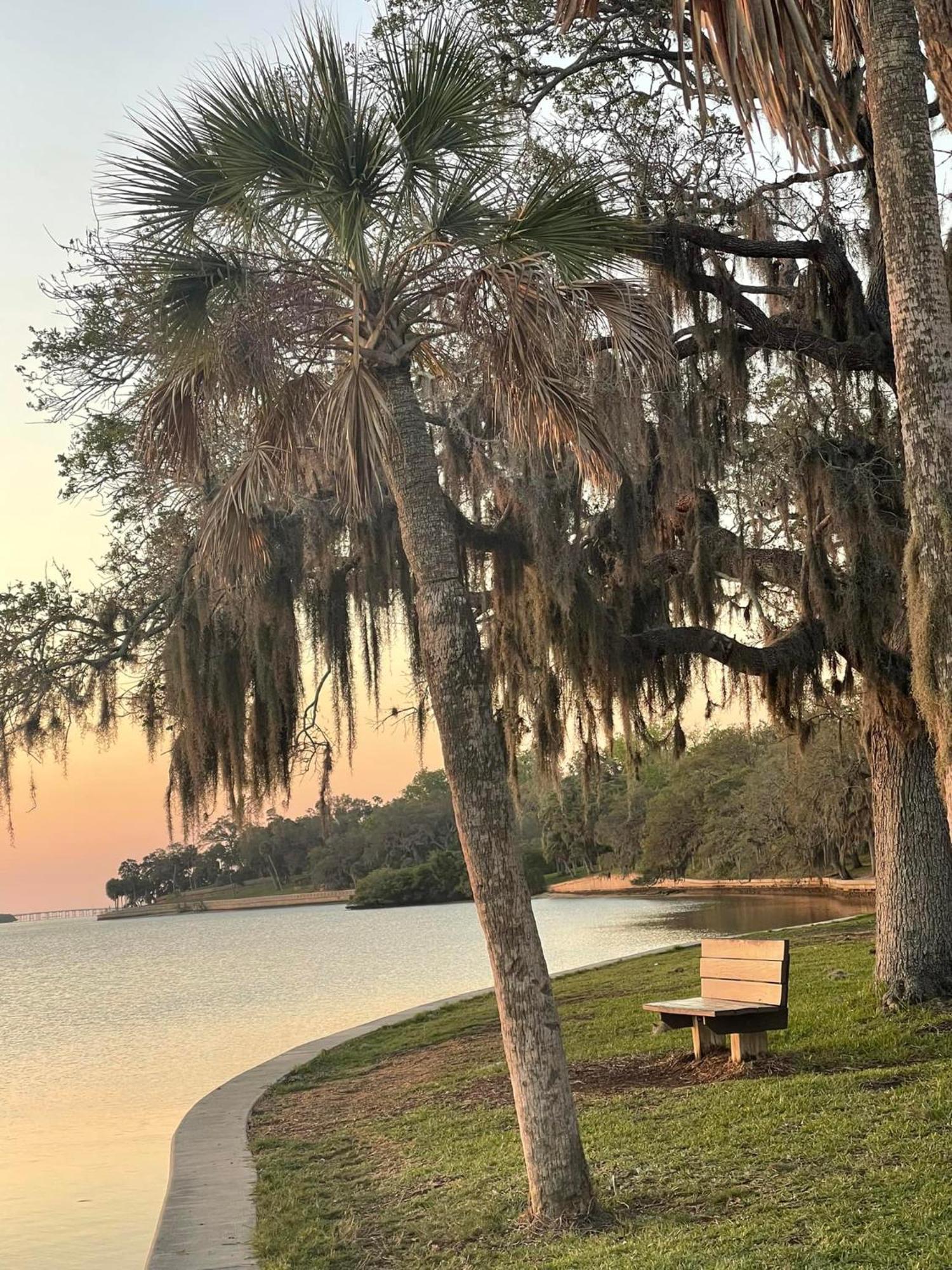 Holiday home Spacious Clearwater Vacation House Pet Friendly Fire Pit 14 Close To Beaches Baycare Ballpark And Ruth Eckerd Hall