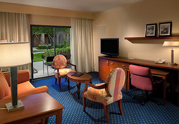 Courtyard St. Petersburg Clearwater