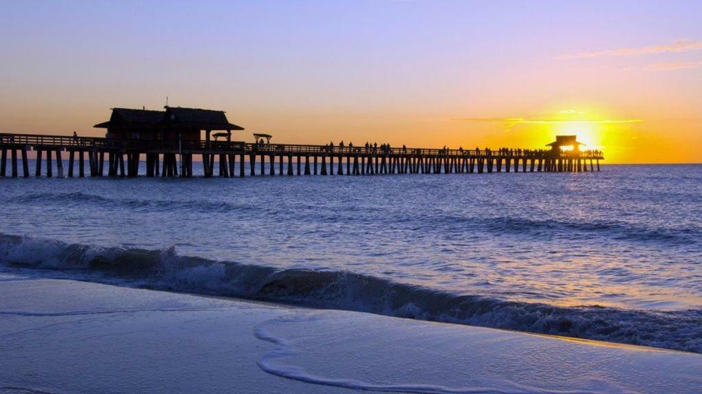 Apartment New 2bed2bath - - Free Wi-fi And Parking Clearwater