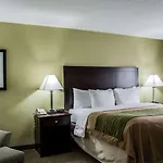 Comfort Inn & Suites St Pete - Clearwater International Airport