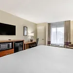 Comfort Inn & Suites St Pete - Clearwater International Airport