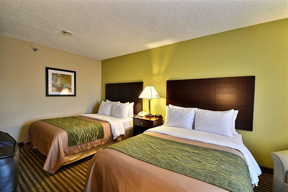 Comfort & St Pete - International Airport Hotel