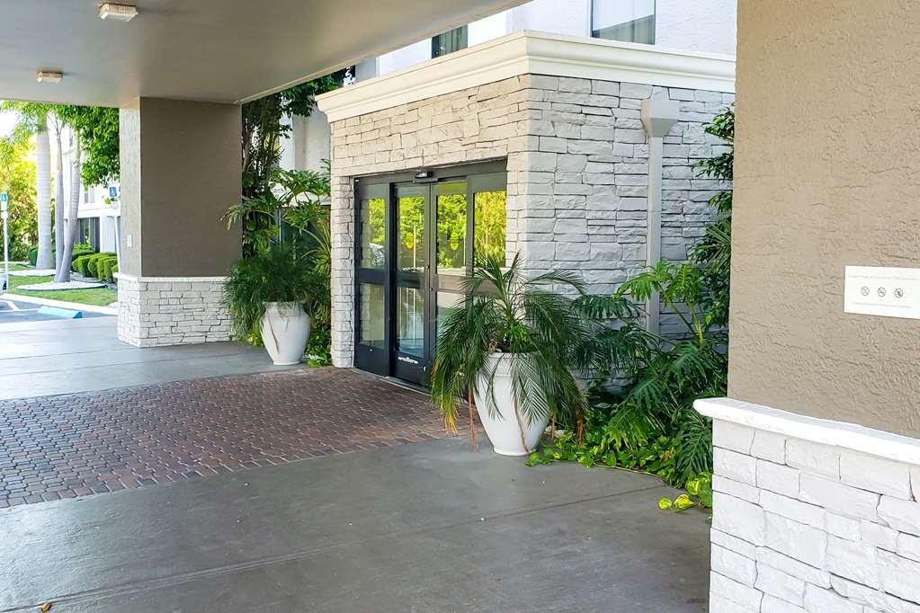 Comfort & St Pete - International Airport
