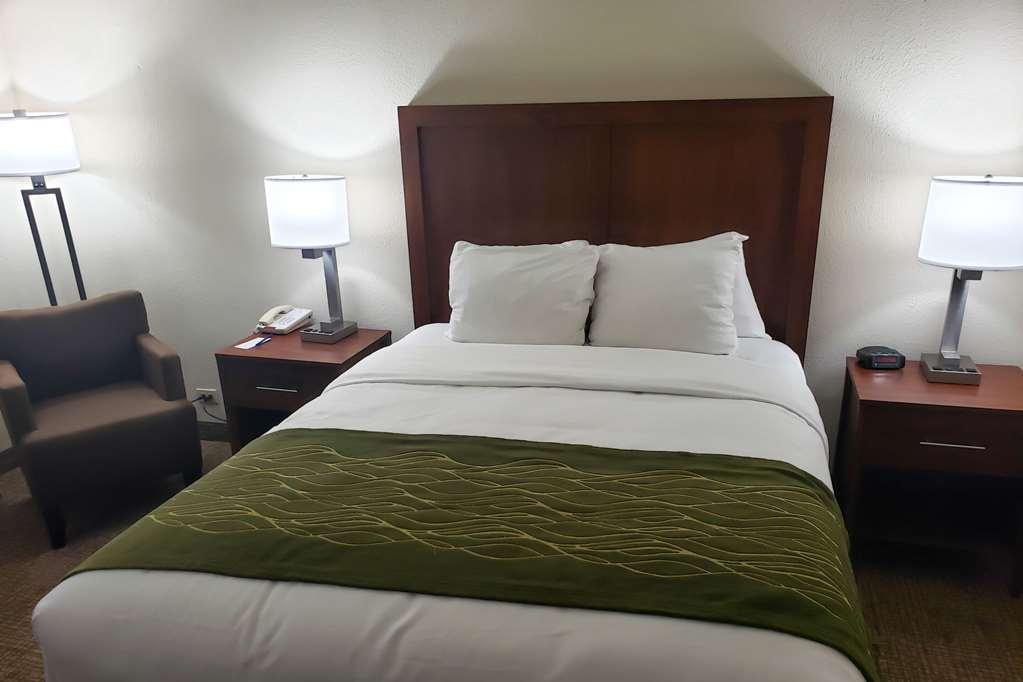 Comfort & St Pete - International Airport Hotel Clearwater