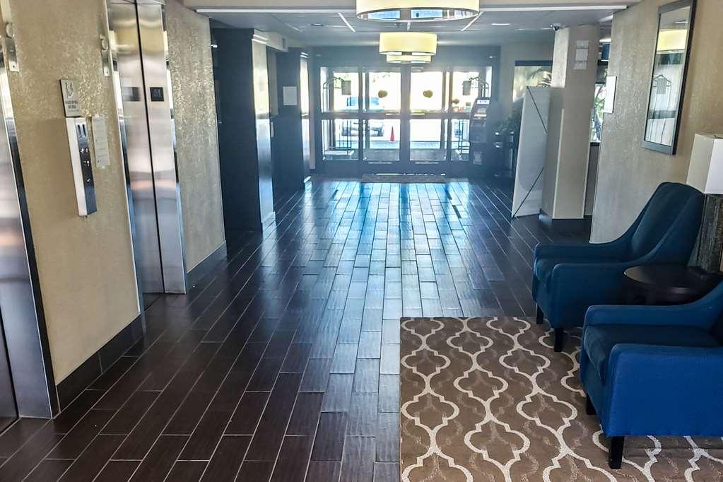 Comfort & St Pete - International Airport Hotel