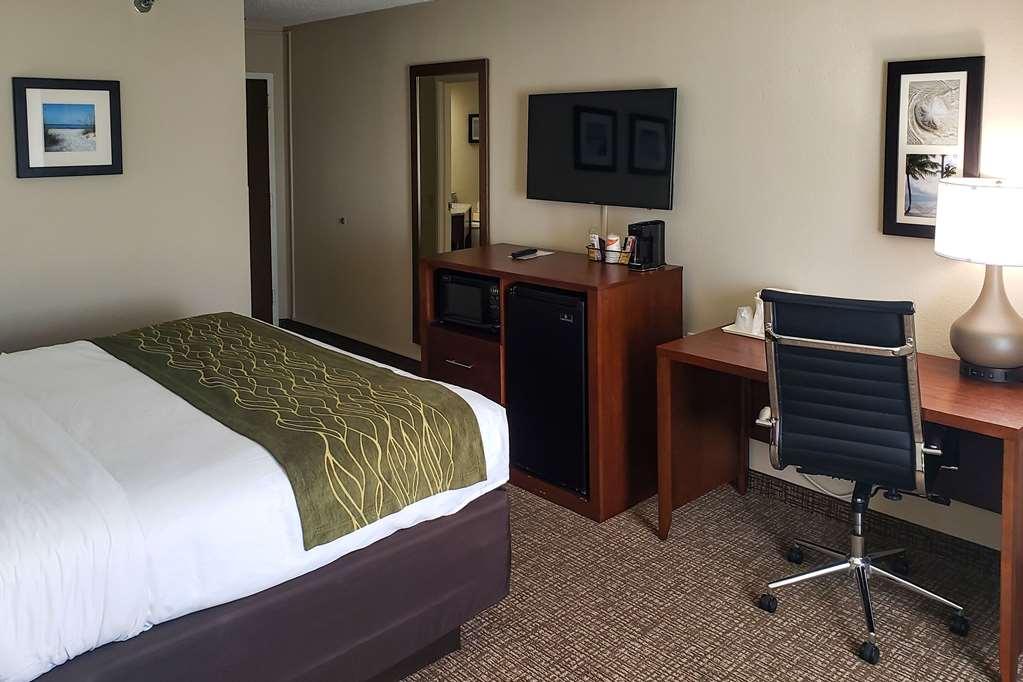 Comfort & St Pete - International Airport