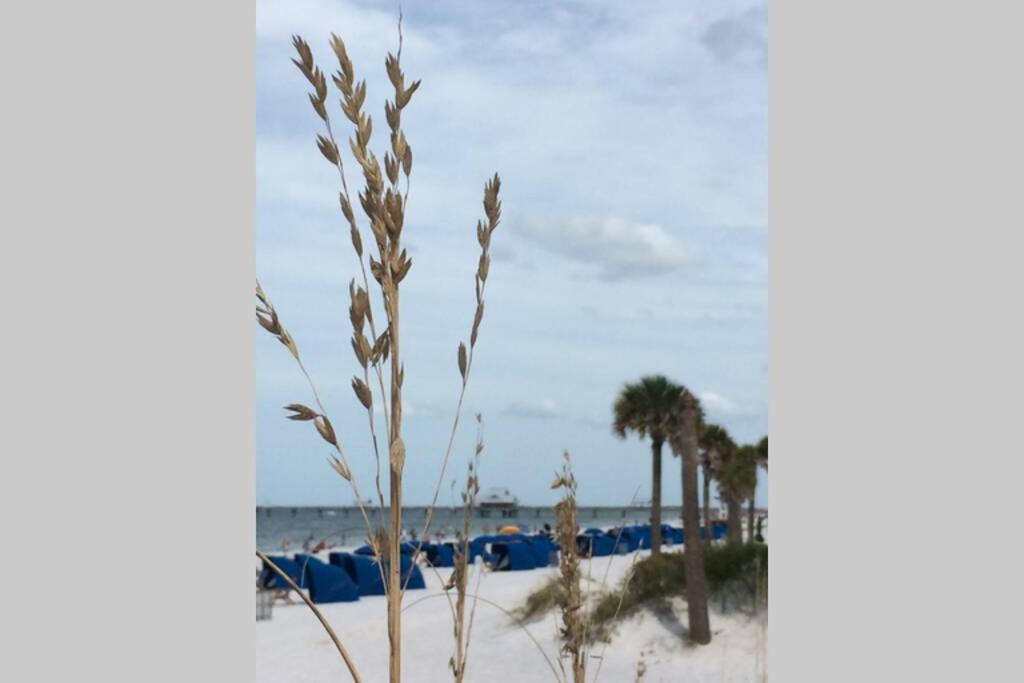 Gorgeous Condo, 2 Bedrooms, 2 Baths, With Pool, Minutes To Apartment *