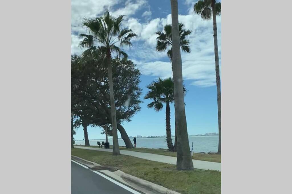 Casa Aqua, Wifi, Beaches, Dunedin, Blue Jays Stdm *