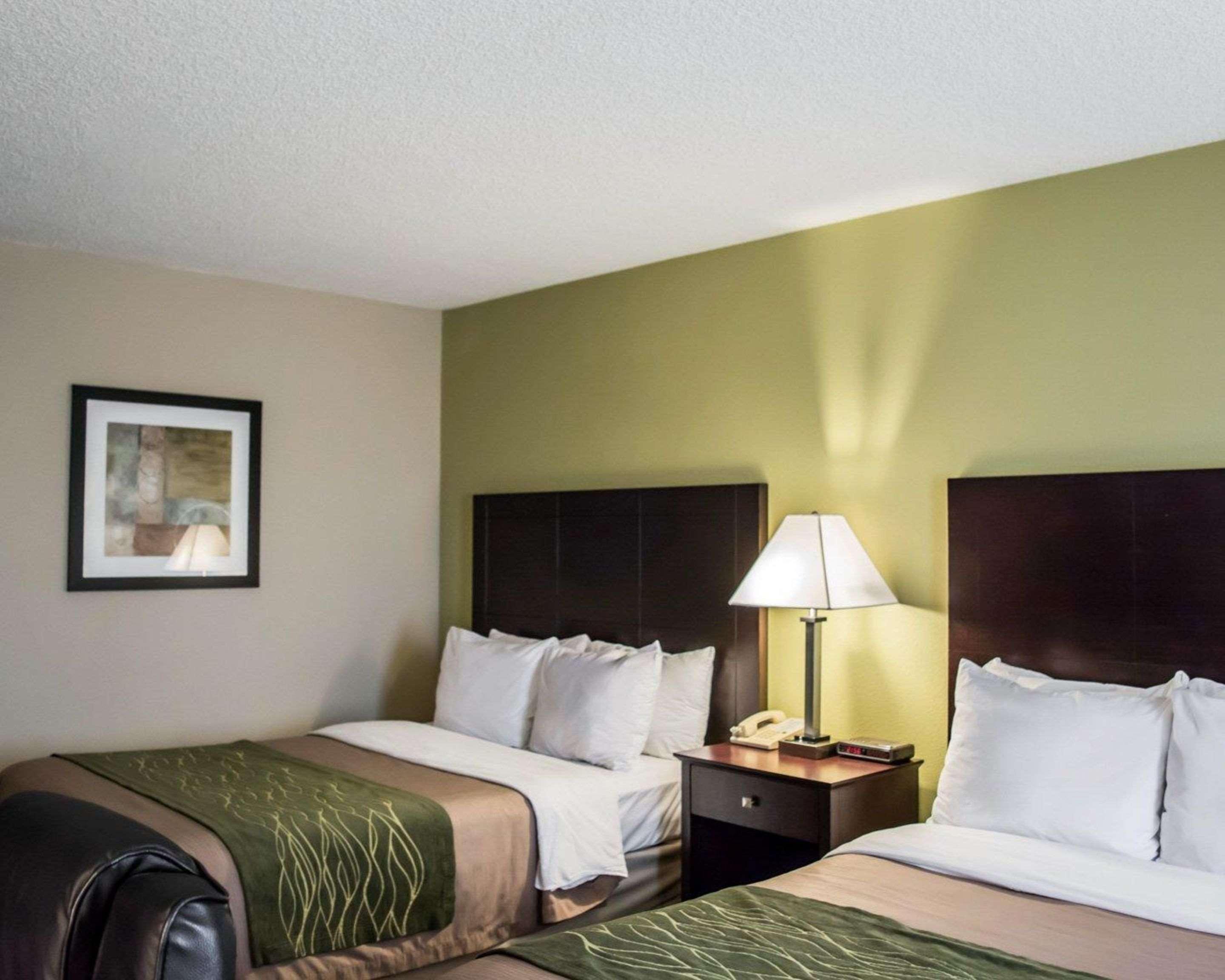 Comfort & St Pete - International Airport Hotel Clearwater