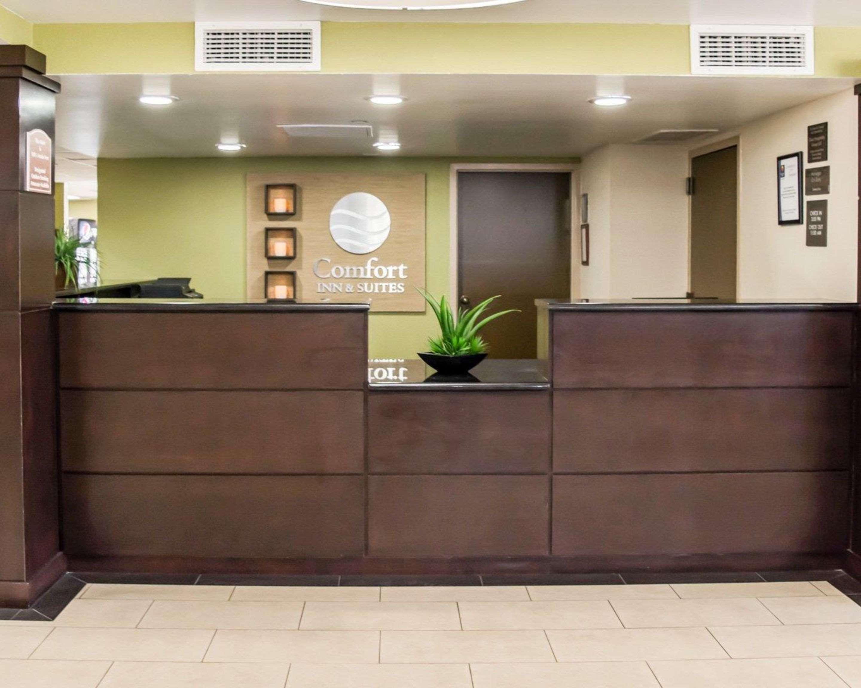 Comfort & St Pete - International Airport Hotel