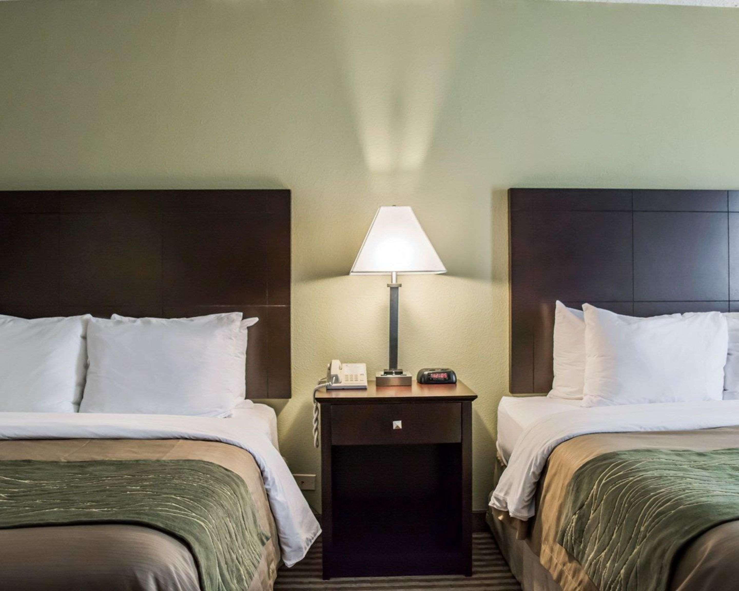 Comfort & St Pete - International Airport Hotel