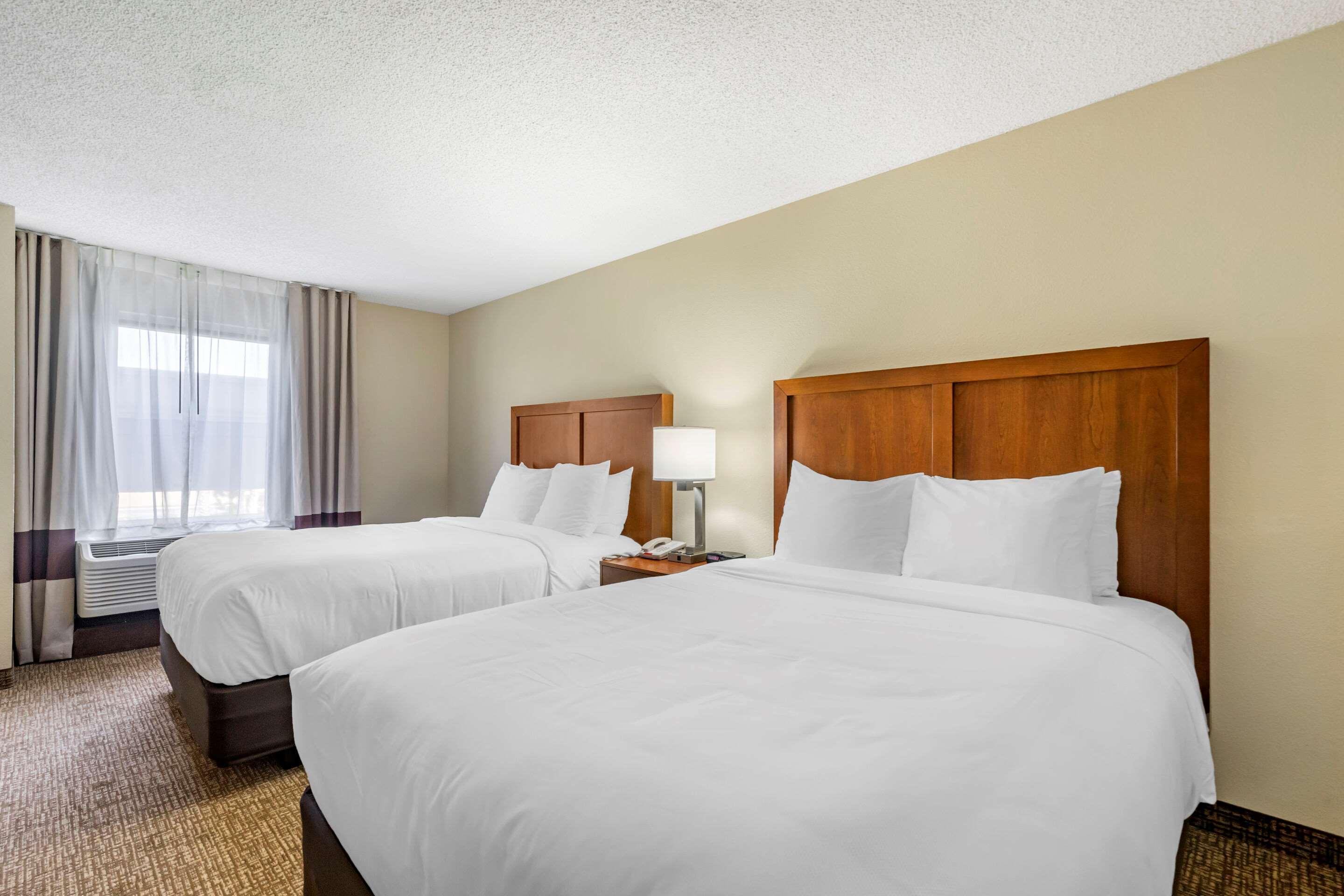 Comfort & St Pete - International Airport Hotel Clearwater