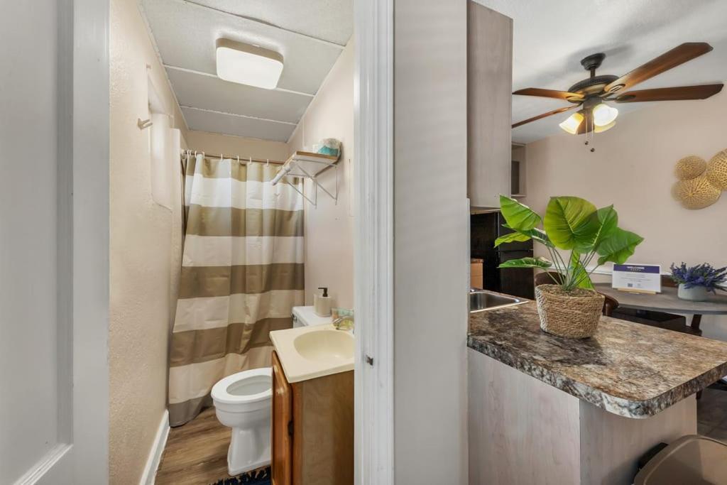 Refurbished Studio With Pool And Parking Apartment Clearwater