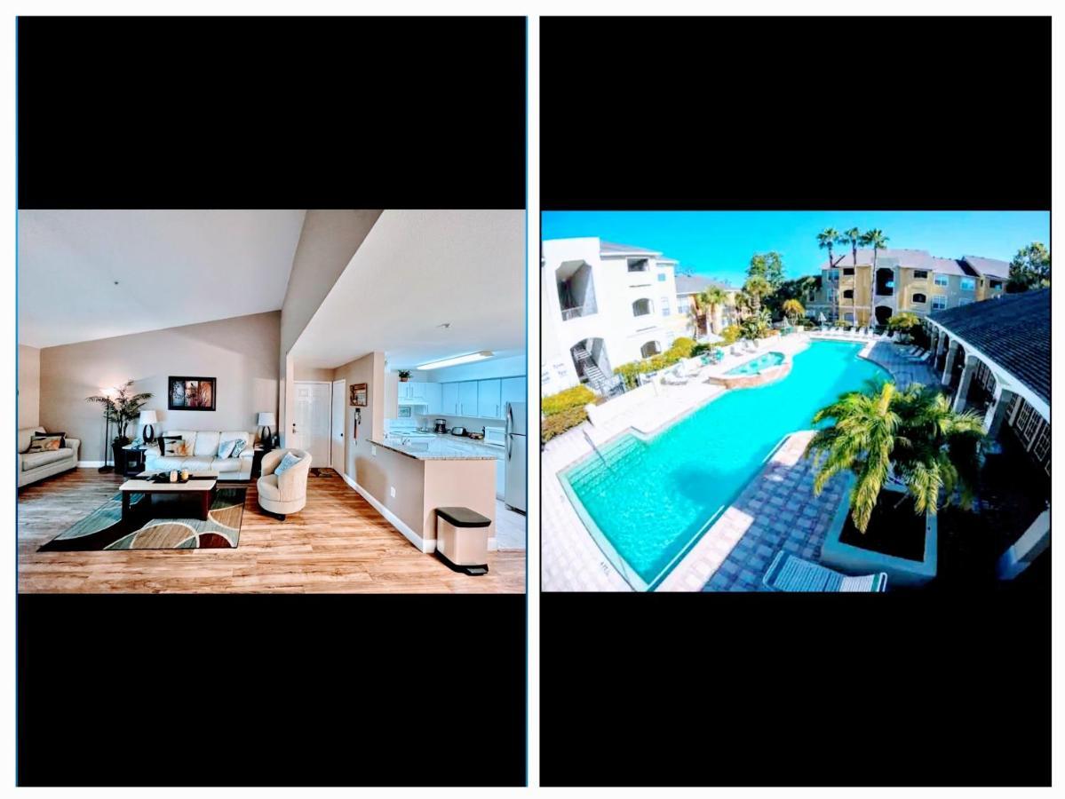 Apartment Dream Vacation Lovely Minutes From King Bed Heated Pool Gym Clearwater