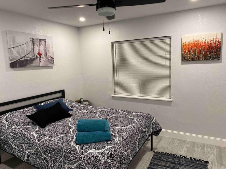 Lovely 2-bedrooms Apartment Clearwater