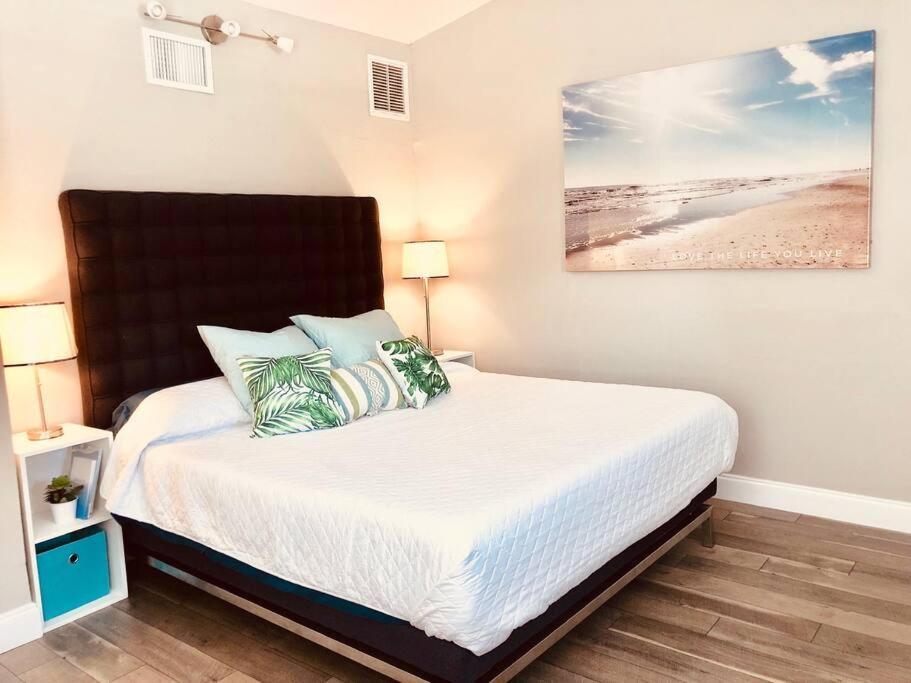 Paradise Hideaway Entire Guest Near Holiday home Clearwater