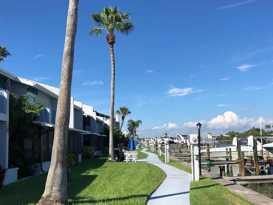 Luxury Cozy Retreat: Waterfront Near Holiday home Clearwater