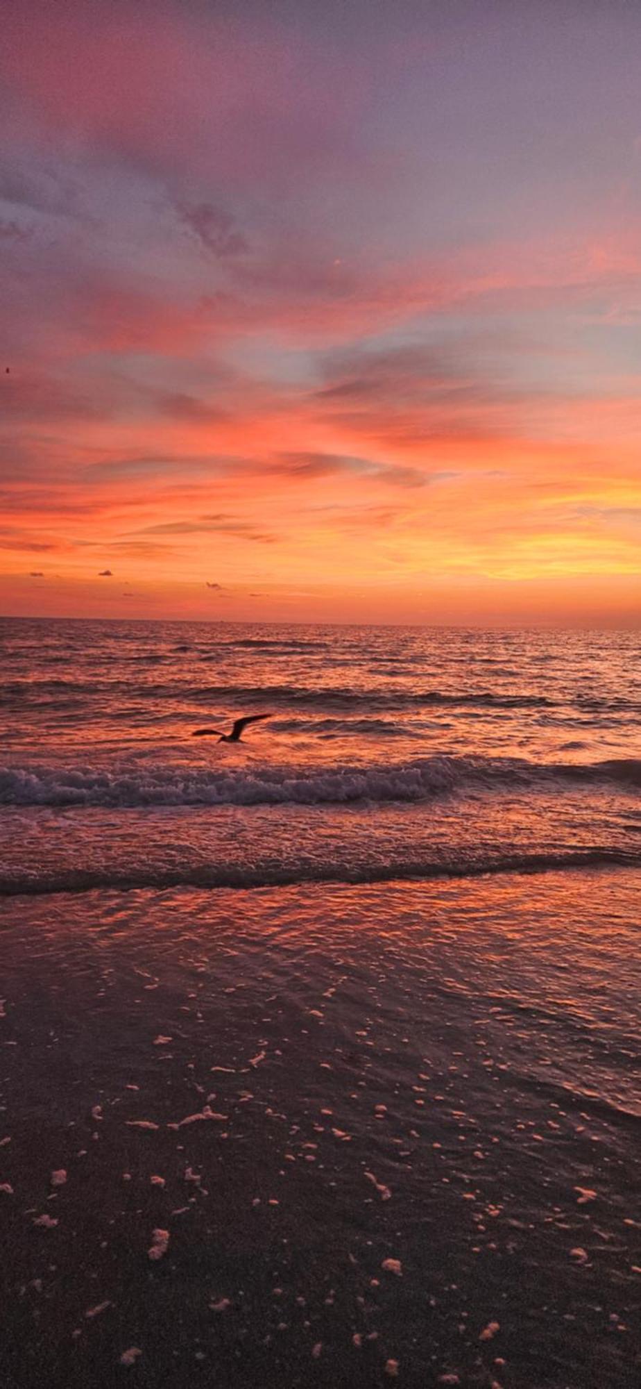 Cozy House Near The #1 Beaches In Fl! Apartment Clearwater