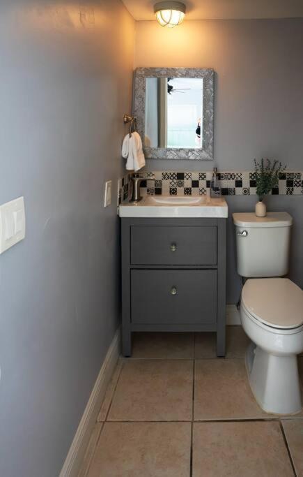 Minutes Away From Apartment Clearwater