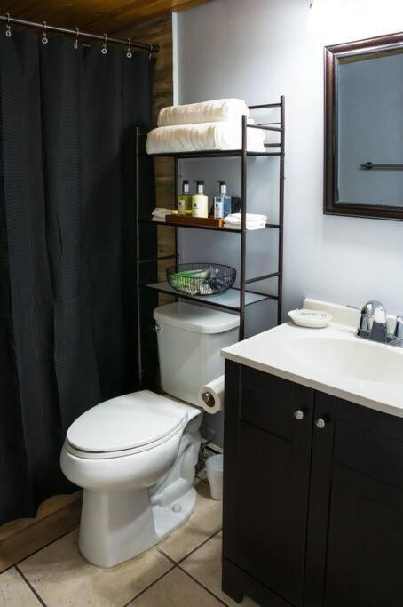 2 Spacious Units Near Apartment Clearwater