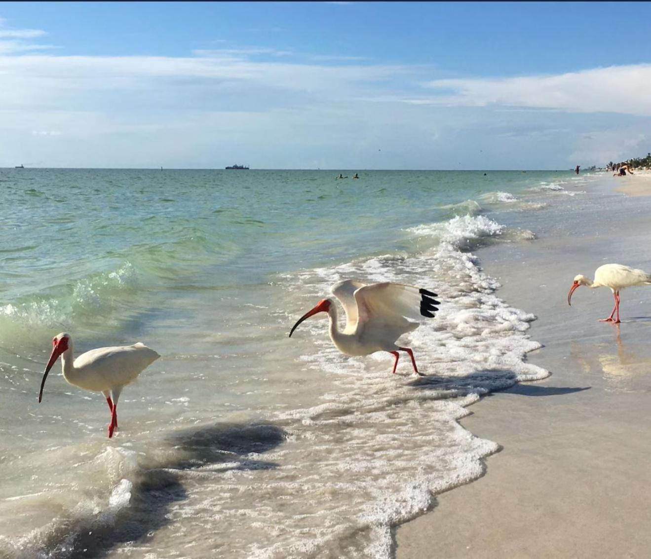 Beach, Florida, Modern Fully Renovated 2nd Floor Condo, Heated Pool