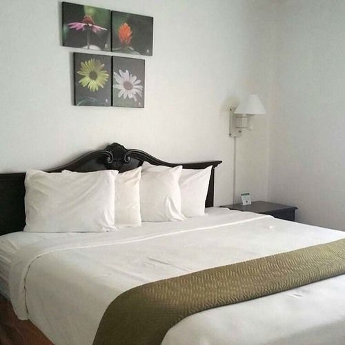 Rodeway - 2* Clearwater