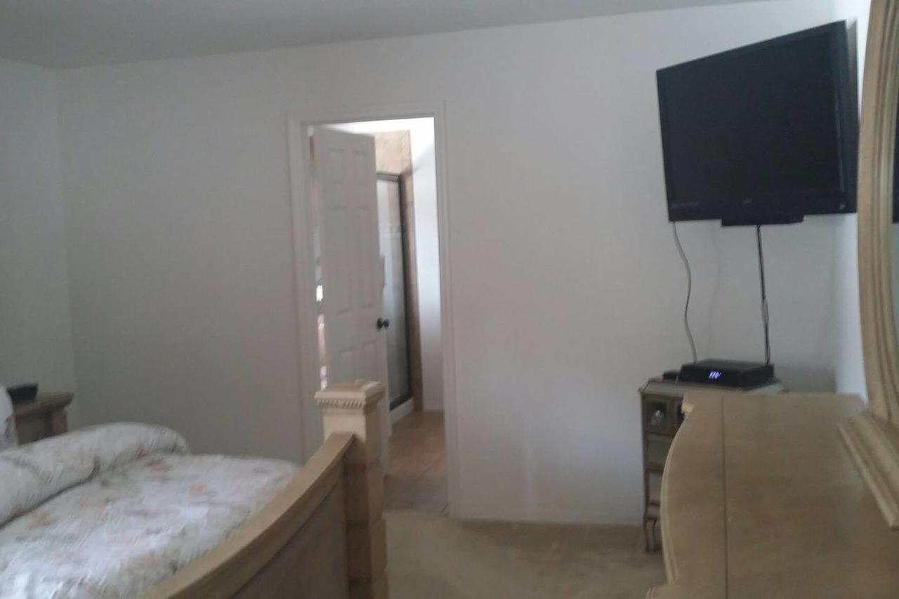 Modern 4 Bedroom House With Swimming Pool Holiday home Clearwater