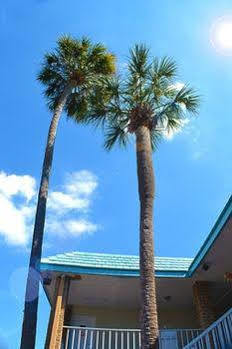 Rodeway - 2* Clearwater