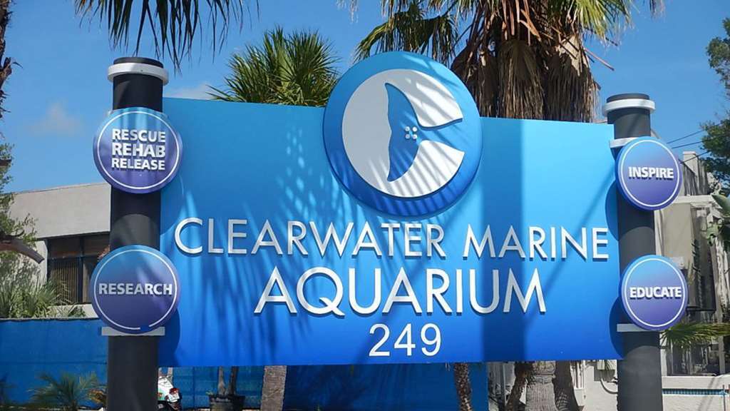 Rodeway - 2* Clearwater