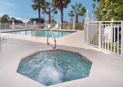 Comfort - Dunedin Clearwater
