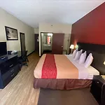 Tropical Palms Hotel