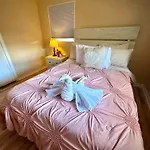 4 Bedroom Clearwater Vacation Home With Amazing Backyard