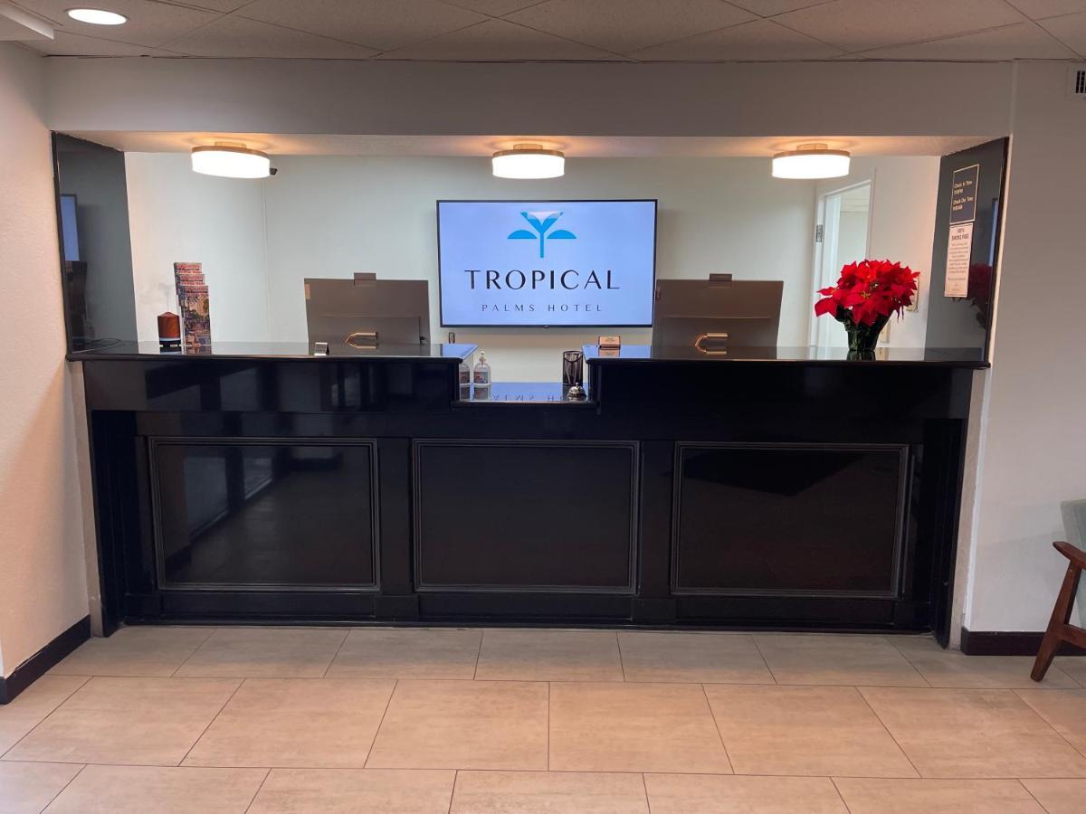 Hotel Tropical Palms