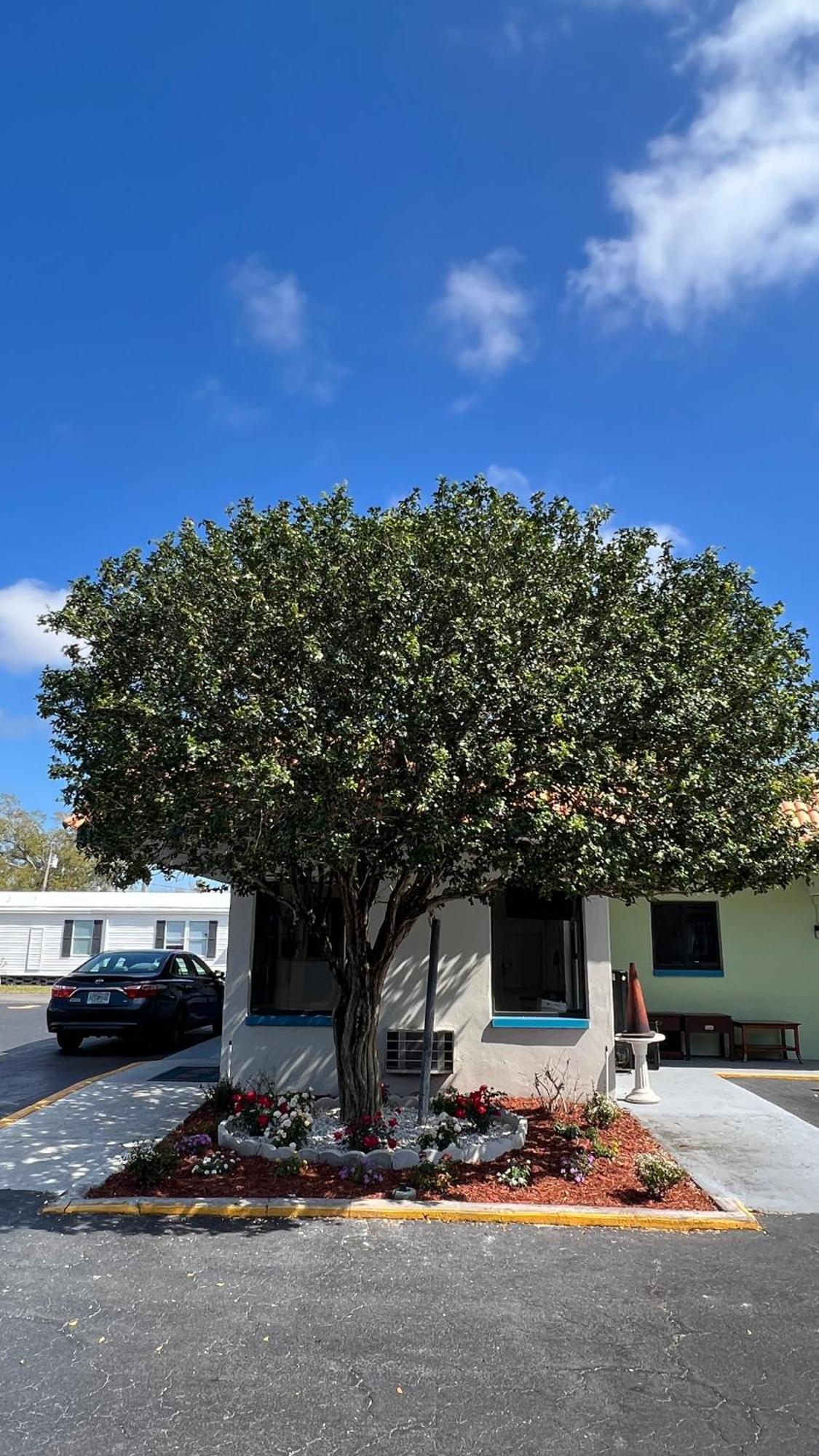 Motel Gulf Way Clearwater