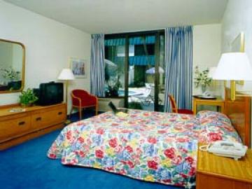 Tropical Palms 3*